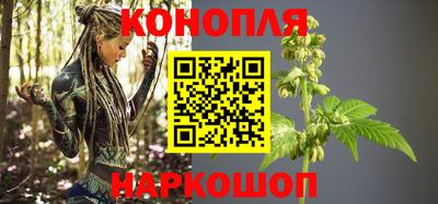 крисы Славянск-на-Кубани