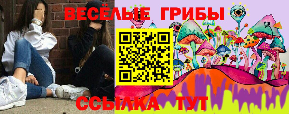 Междуреченск  Галлюциногенные грибы MAGIC MUSHROOMS  Вход с VPN 