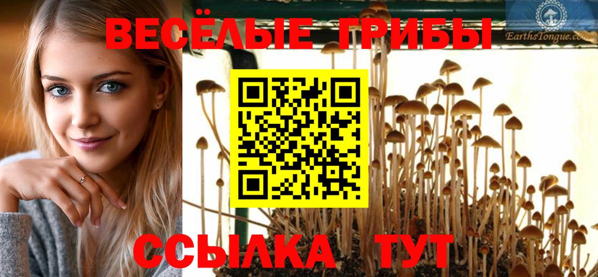 Галлюциногенные грибы прущие грибы Междуреченск